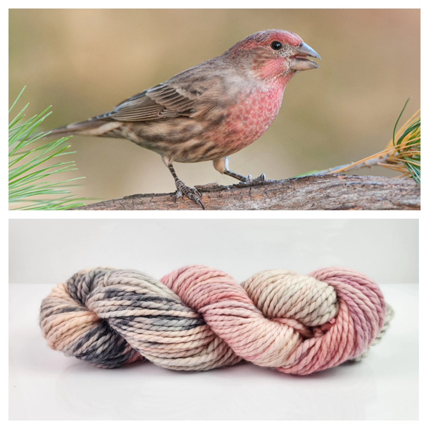 Hand Dyed Yarn - Finch - On Super Bulky Wool/Alpaca Blend